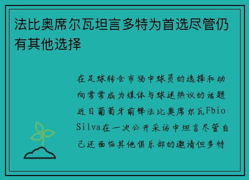 法比奥席尔瓦坦言多特为首选尽管仍有其他选择